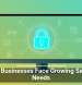 Small Businesses Face Growing Security Needs