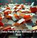 Health Data Hack Puts Millions of Files at Risk