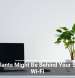 Houseplants Might Be Behind Your Sluggish Wi-Fi